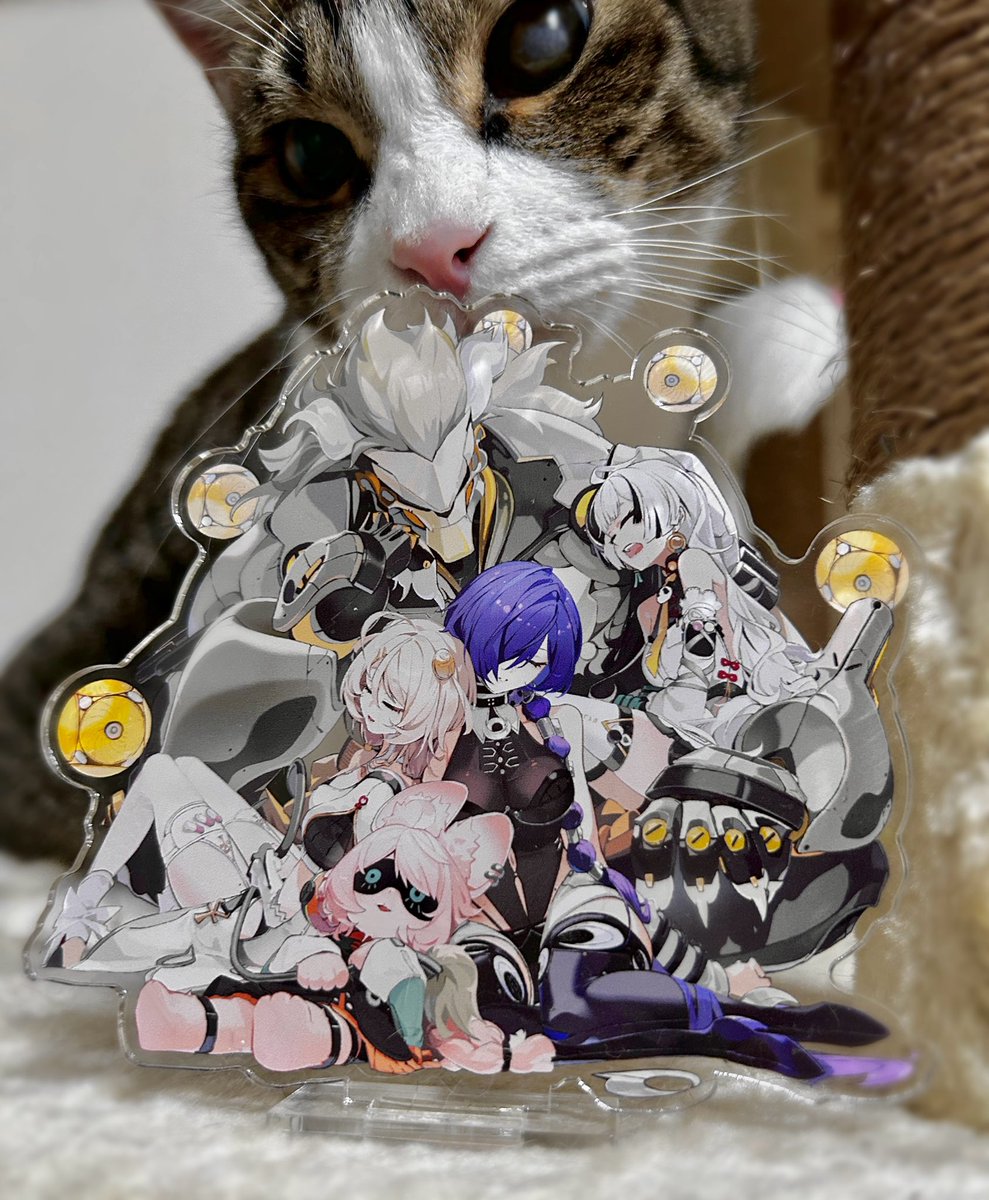 merahnonamida's tweet photo. アクリルスタンドのサンプルが届きました
サンプルなので実際のものとは差異があるかもしれません
サイズ比較に猫を置いておきます https://t.co/4UycMnlI2z