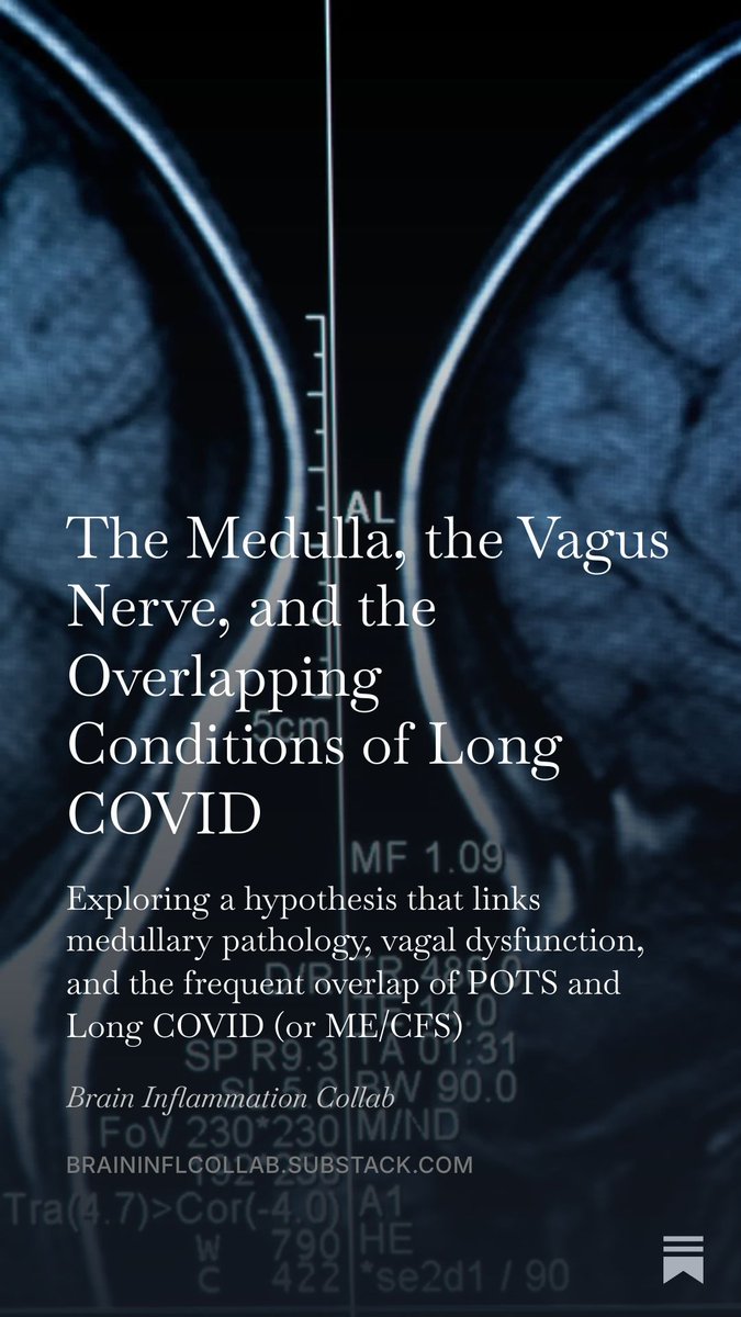 BrainInflCollab's tweet photo. Key brainstem regions help control heart rate, blood pressure, breathing, and the body’s inflammatory “brake” through the vagus nerve. 

In this article, we examine neuroimaging and post-mortem findings in COVID-19, a recent neuroimmune hypothesis for POTS, the medulla’s role as an inflammatory thermostat, and how connective tissue laxity or mast cell activation may amplify vulnerability in a subset of patients.

Read more here: https://t.co/CrszagG4IF