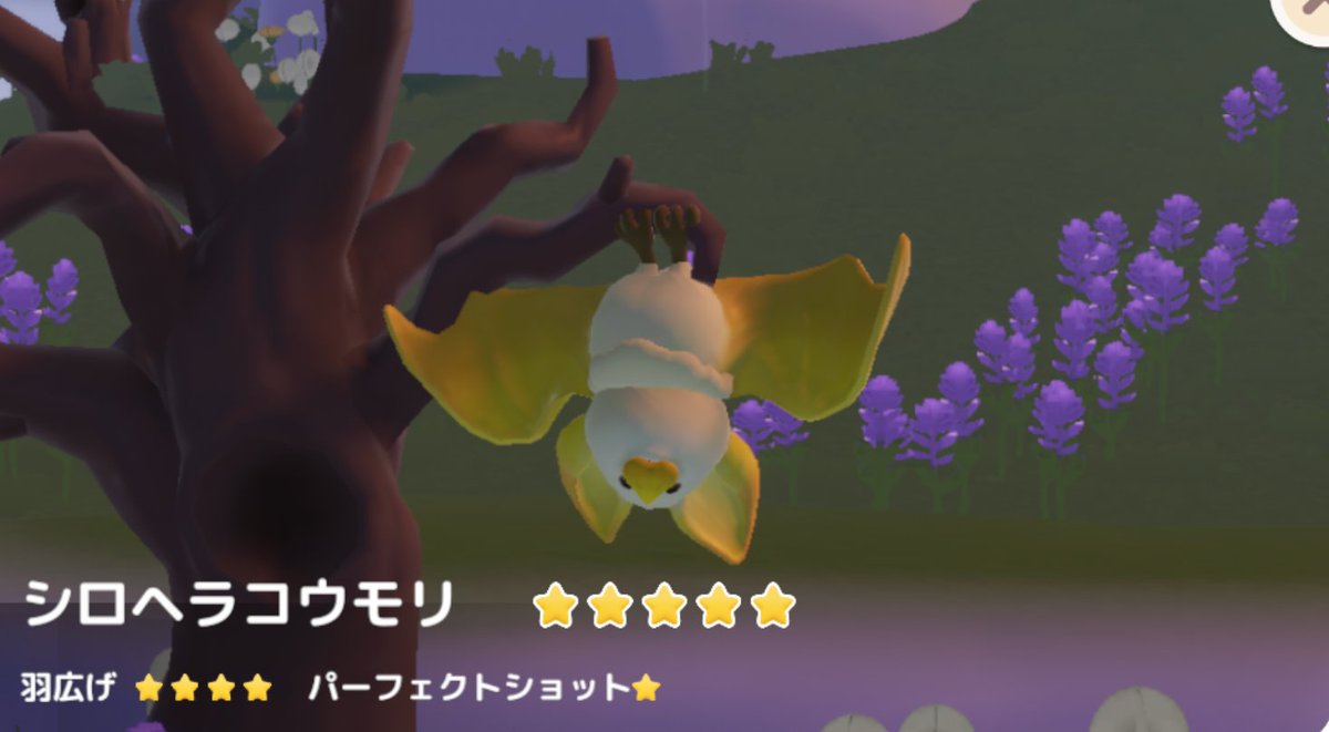 hiyotopia's tweet photo. コウモリは鳥じゃないだろって思いながら鳥コンプ

やっとイカが確保できたから料理もついでに

あとは釣りと虫とお花だけ https://t.co/0jAqUpq8K5