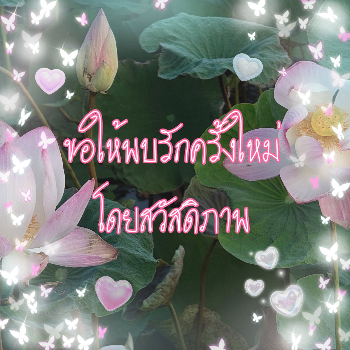 lostyouinmay's tweet photo. ความสัมพันธ์ในช่วงนี้ be like : https://t.co/e2BHq8lrh5