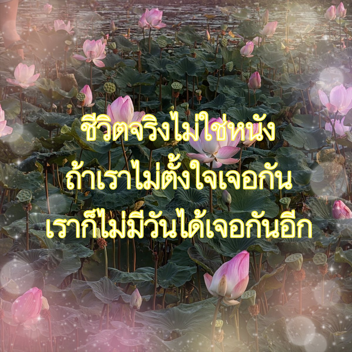 lostyouinmay's tweet photo. ความสัมพันธ์ในช่วงนี้ be like : https://t.co/e2BHq8lrh5