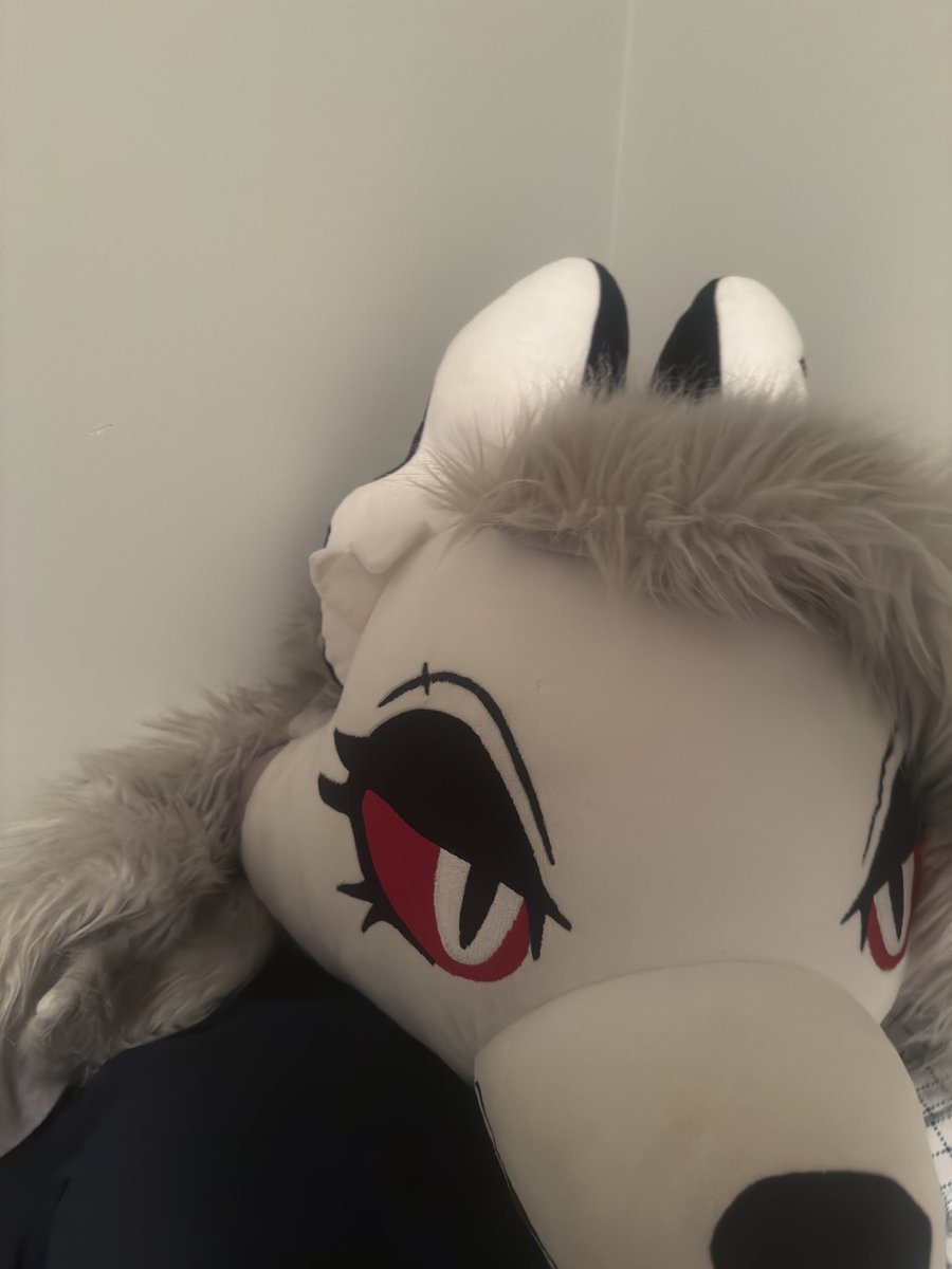 PierceH7N's tweet photo. I am not playing I live with Loona, she towers over me. Best $2000 CAD ever https://t.co/JK4c799KXm