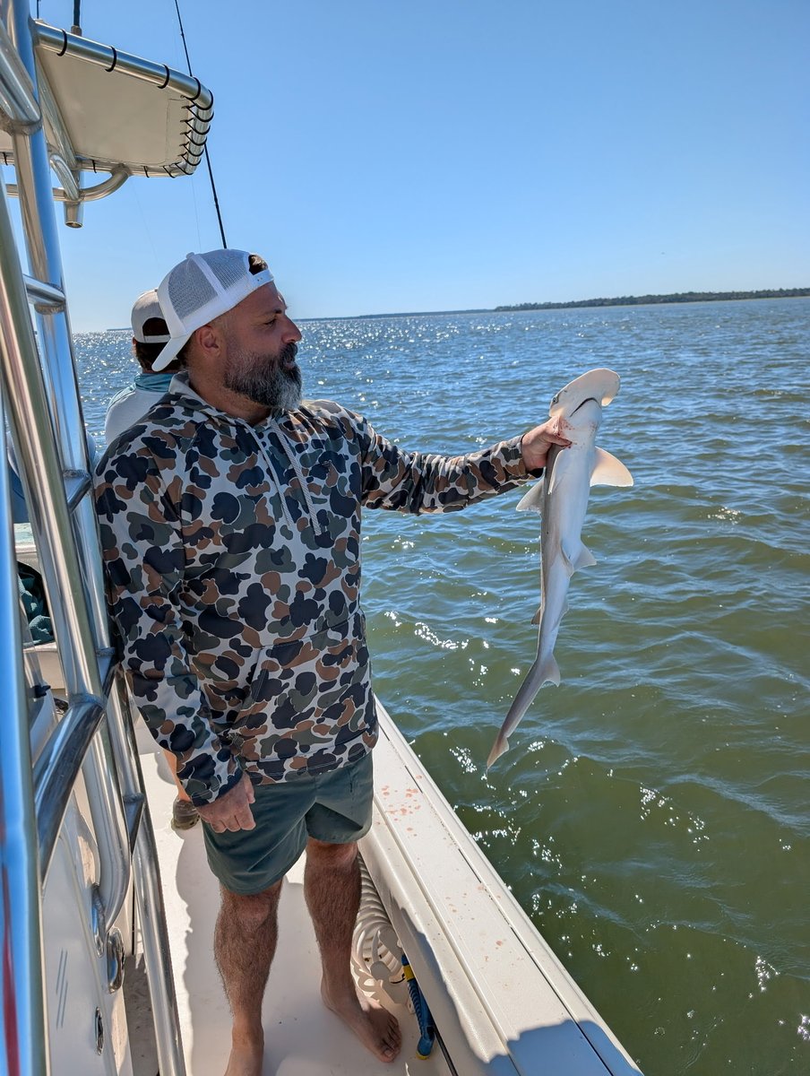 SomerTac418's tweet photo. @hiltonheadsc / 🦈 Hunting https://t.co/DuEFNBZULl