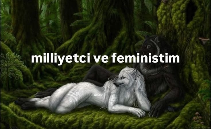abonmanguzeli7's tweet photo. kızlar biz midir peki https://t.co/Ch0DkzBNAm