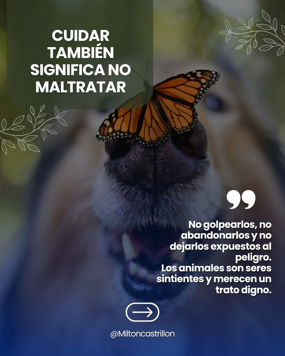 miltcastrillon's tweet photo. 🐶🐱💚 El respeto por los animales también habla de quiénes somos como sociedad.

Cuidarlos es brindarles amor, proteger su bienestar y entender que sus vidas merecen respeto, atención y un trato digno. 🐾

💬 ¿Qué pequeñas acciones podemos promover en nuestros barrios para hacer la diferencia en sus vidas? ¡Te leemos en los comentarios!

🙏Que Dios bendiga a quienes cada día hacen del cuidado animal un acto de amor.