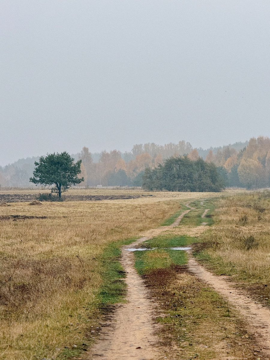 FlyerUnderFire's tweet photo. Осеннее Подмосковье. 🍂 https://t.co/MN9zgtlVxk
