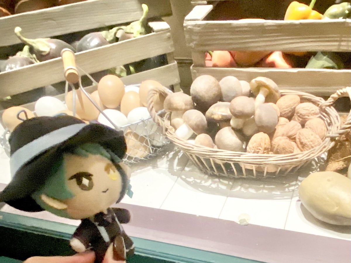 tpp23_s's tweet photo. きのこ🍄‍🟫ありました‼️‼️ https://t.co/4LdRU1eN3g