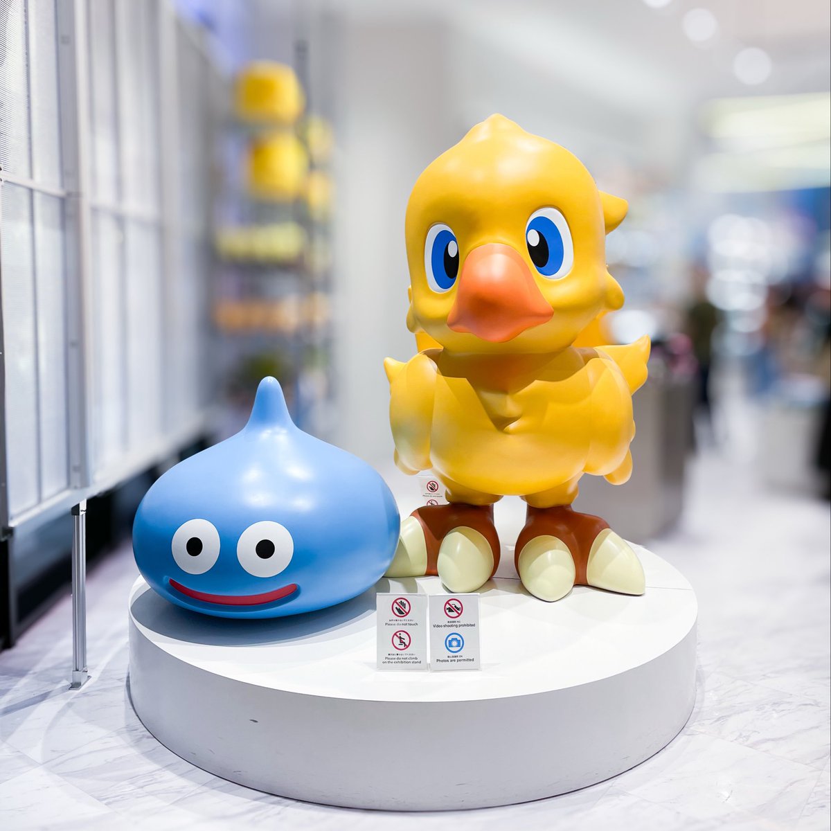 UmishidaUmi's tweet photo. 訪問 https://t.co/jedtMPJzth