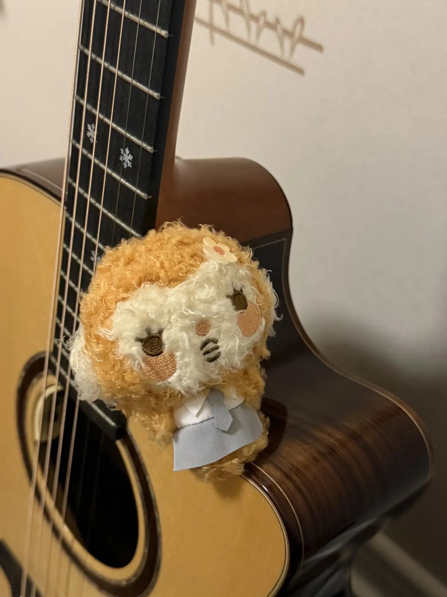 Czn018_'s tweet photo. 修完毛的猴届最漂亮的孩子 #ANA #에이나 https://t.co/CQYwMGaSPB