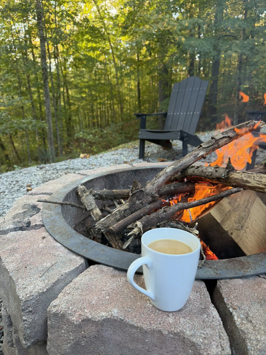 StacySlytherin's tweet photo. Perfect morning. https://t.co/hiXc9Doibw