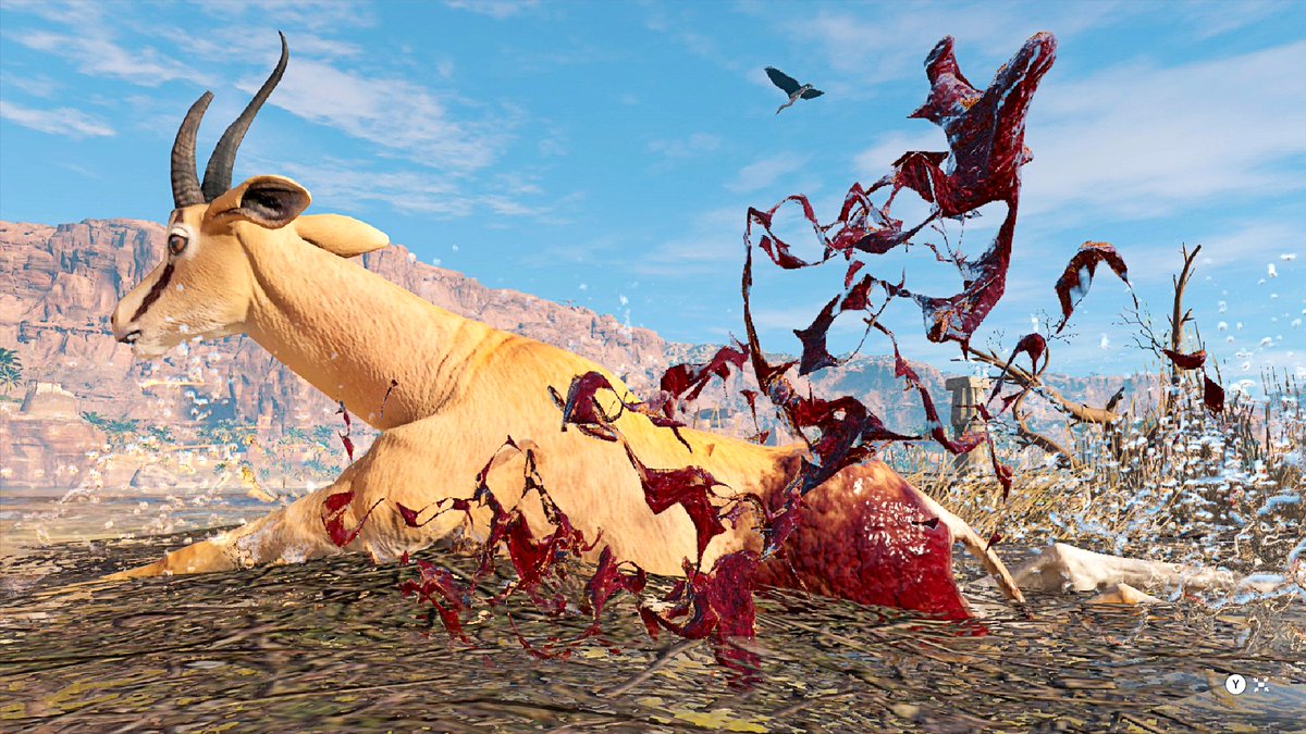 13brevkasse's tweet photo. #Bloody #Animals #AssassinsCreedOrigins #Lioness #Gazelle @Noton28760553 #Camel #VGPNetwork #Desert @DEX_exiled #Eagle #ThePhotoMode #Hippopotamus @PatmanGames #AssassinsCreed #Origins #Lions https://t.co/spbakcNKUU