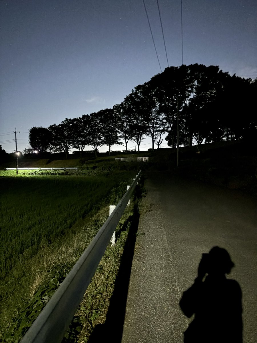 cri0ll0's tweet photo. 友人の結婚祝い。
飲み過ぎ食べ過ぎで幸せを腹に溜めすぎた〜
田舎道を歩いて帰る。秋の夜のそぞろ歩き。 https://t.co/SY0CsytfMl