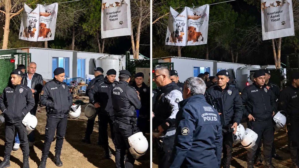 soLPortal2026's tweet photo. Ege Üniversitesi'ne gece yarısı baskını: Yaklaşık 200 köpek toplatıldı, kampüste arbede yaşandı
https://t.co/gwVCDSlHOP https://t.co/53kbEmbj13