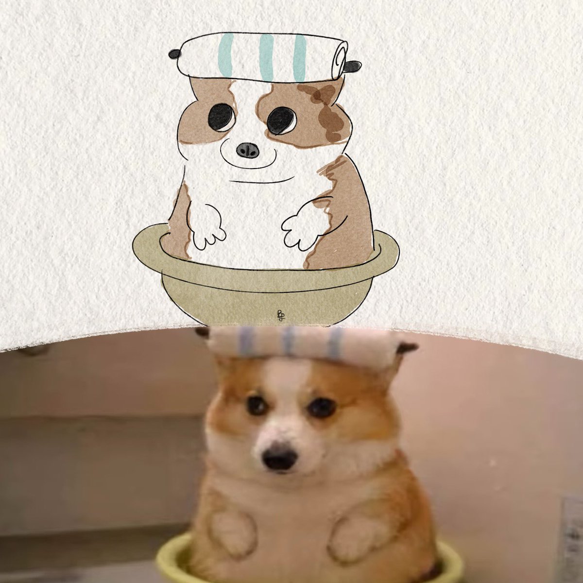 twaniimals's tweet photo. https://t.co/fdNNbPKEQP