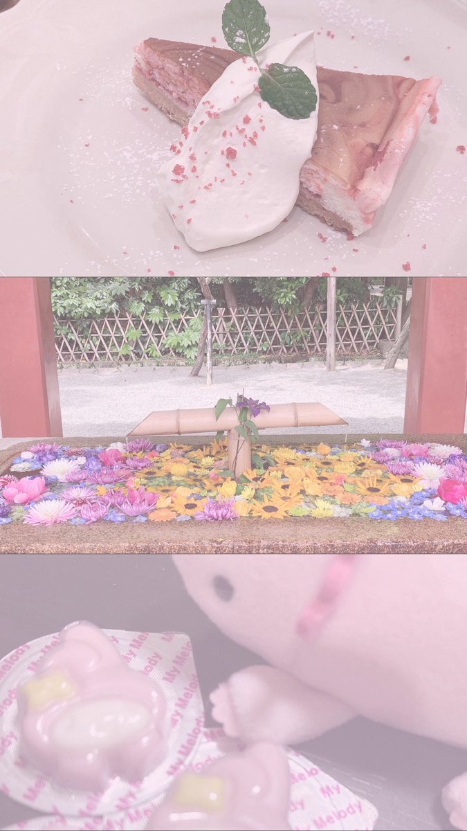 as8xx8's tweet photo. 日常と趣味𓂃 𓈒𓏸◌

┆𝘳𝘰𝘴𝘦🥀┆𝘧𝘰𝘰𝘥🍰┆𝘧𝘶𝘭𝘭𝘮𝘰𝘰𝘯🌕┆
┆𝘴𝘤𝘦𝘯𝘦𝘳𝘺︎︎︎︎☁┆𝘨𝘢𝘮𝘦🎮┆𝘴𝘵𝘶𝘧𝘧𝘦𝘥 𝘵𝘰𝘺🧸┆
┆𝘢𝘳𝘵🎹┆𝘤𝘭𝘰𝘵𝘩𝘦𝘴🎀┆𝘤𝘰𝘴𝘮𝘦𝘵𝘪𝘤🪄┆

かわいいものや淡いピンクが好き🎀

 #日常垢 
 #日常垢さんと繋がりたい https://t.co/TyeEzbC1if