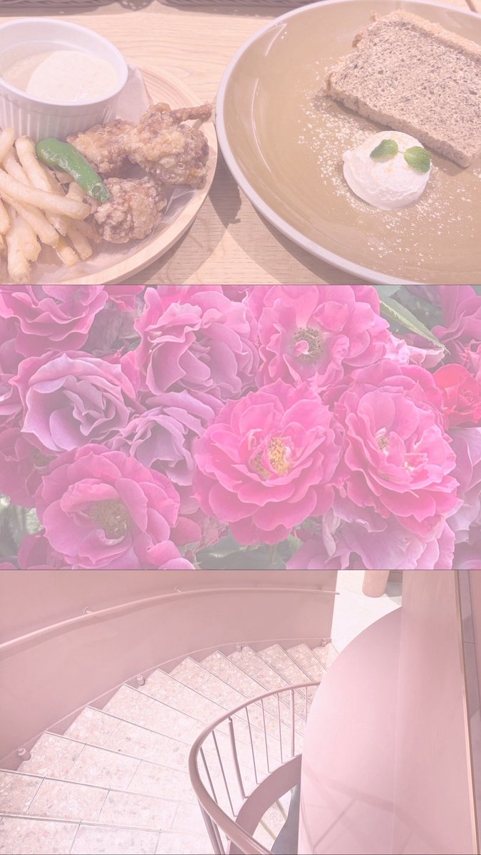 as8xx8's tweet photo. 日常と趣味𓂃 𓈒𓏸◌

┆𝘳𝘰𝘴𝘦🥀┆𝘧𝘰𝘰𝘥🍰┆𝘧𝘶𝘭𝘭𝘮𝘰𝘰𝘯🌕┆
┆𝘴𝘤𝘦𝘯𝘦𝘳𝘺︎︎︎︎☁┆𝘨𝘢𝘮𝘦🎮┆𝘴𝘵𝘶𝘧𝘧𝘦𝘥 𝘵𝘰𝘺🧸┆
┆𝘢𝘳𝘵🎹┆𝘤𝘭𝘰𝘵𝘩𝘦𝘴🎀┆𝘤𝘰𝘴𝘮𝘦𝘵𝘪𝘤🪄┆

かわいいものや淡いピンクが好き🎀

 #日常垢 
 #日常垢さんと繋がりたい https://t.co/TyeEzbC1if
