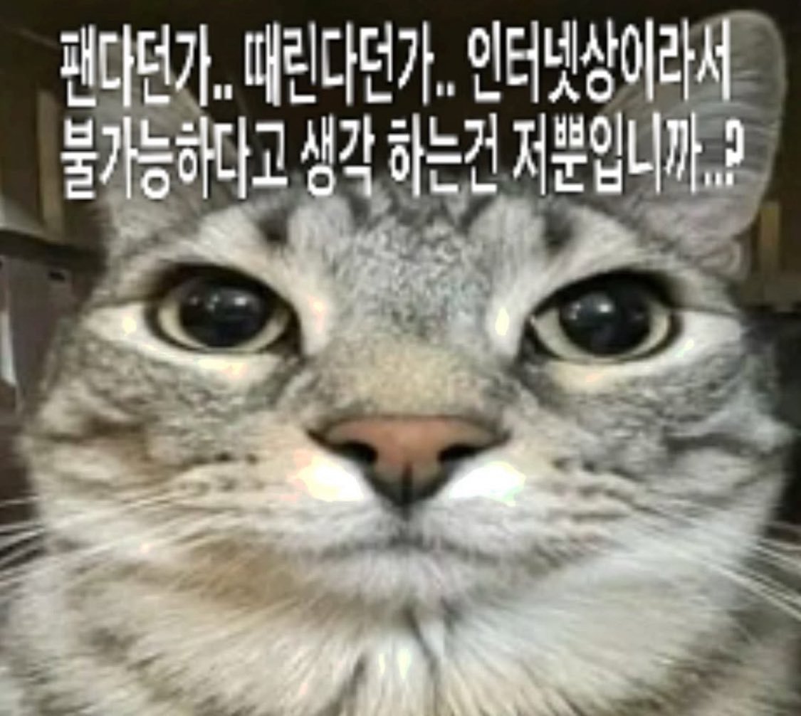 D425uk2's tweet photo. 개인적으로 아편계 의존 말고 다른 정신적 디버프 있음 좋겠다...
그런생각을 하는 중
그러니까저는 약간 사랑에 유혈.. 폭력.. 전기지짐이...
이런게잇어야한다고생각하는사람인가봅니다내가 https://t.co/LTPH9DmlWZ