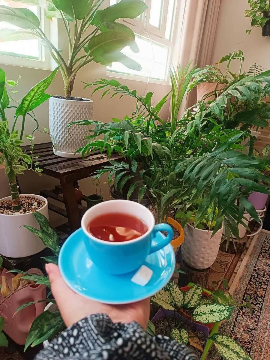 dookhthaji's tweet photo. از من میشونی کسی که دوستت داره رو
هیچ وقت رها نکن ،
چون بعداً اونو توی هزاران انسان میگردی ولی پیدا نمیکنی ...!

💯🫀 https://t.co/SujigvnyOI