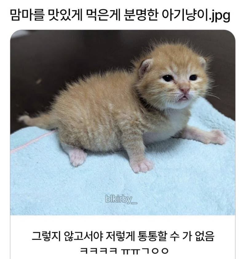 lovx11_very's tweet photo. https://t.co/J4zkou0suO