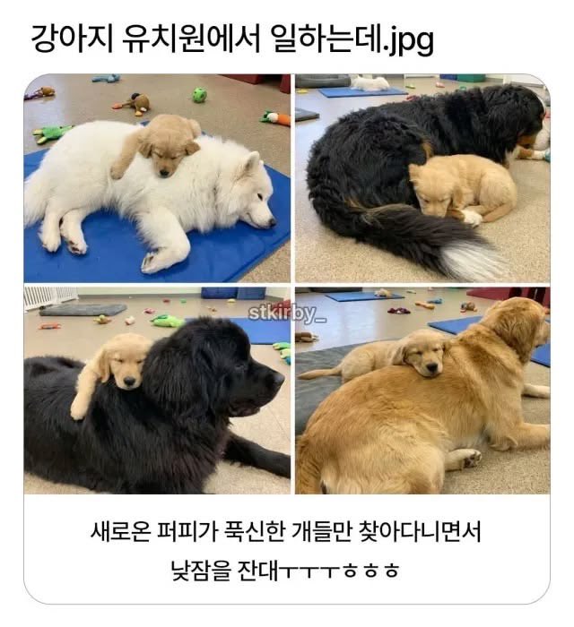lovx11_very's tweet photo. https://t.co/17Lg3HYnzT