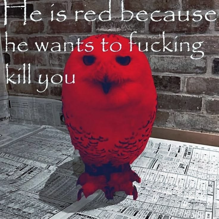 RandomSlop's tweet photo. https://t.co/q2oA3IXyHV