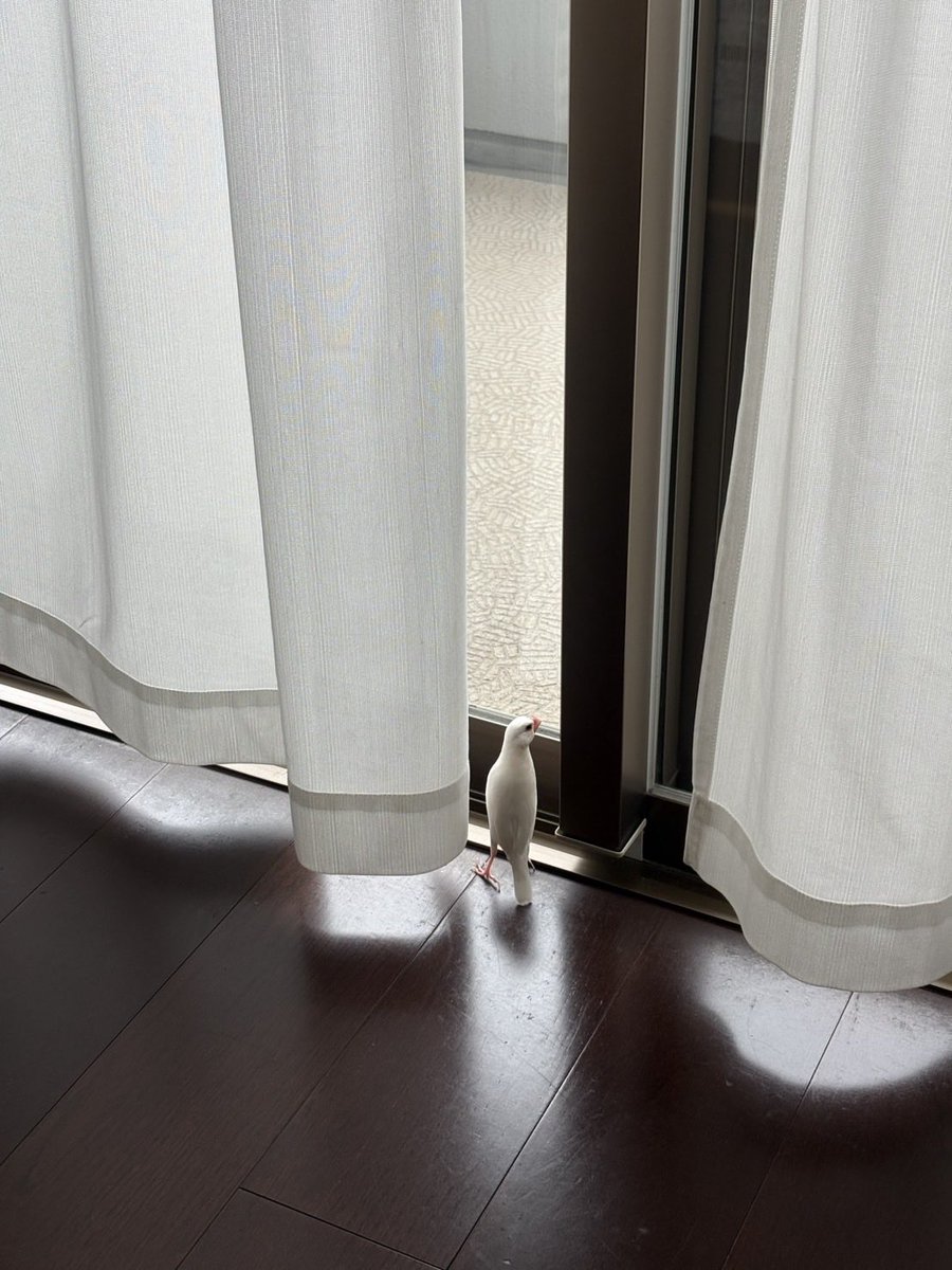 bunbuncho_0211's tweet photo. 今日は、晴れてるかちら？ https://t.co/ac1QItDOYn