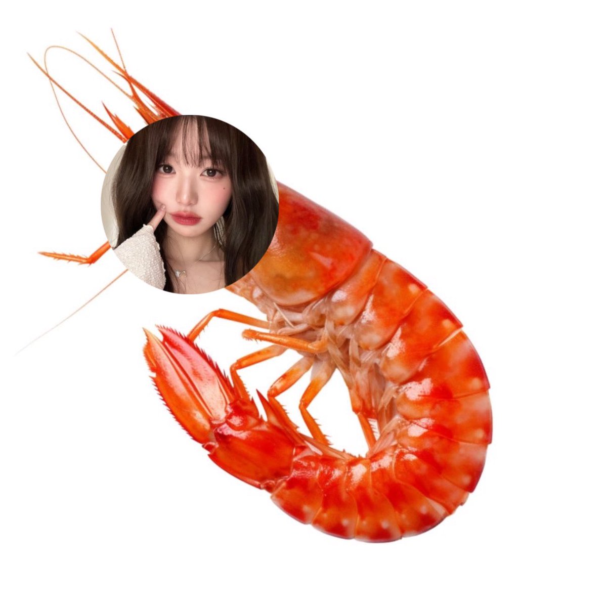 foshysohee's tweet photo. MAAF LAMA NGEDIT DULU AOWKAOWKAOWK jawabannya ada foshyjuyeon foshysungho foshyajuy dan foshywony widih one of the boys nih 😏😏😏😏😏😏😏

Poin benar: +10.000
Poin kasihan: +3.000 🤣
Yang bom reply: +5.000
Yang suka kerupuk udang: +50.000 (gw suka) https://t.co/rvhplaMPne
