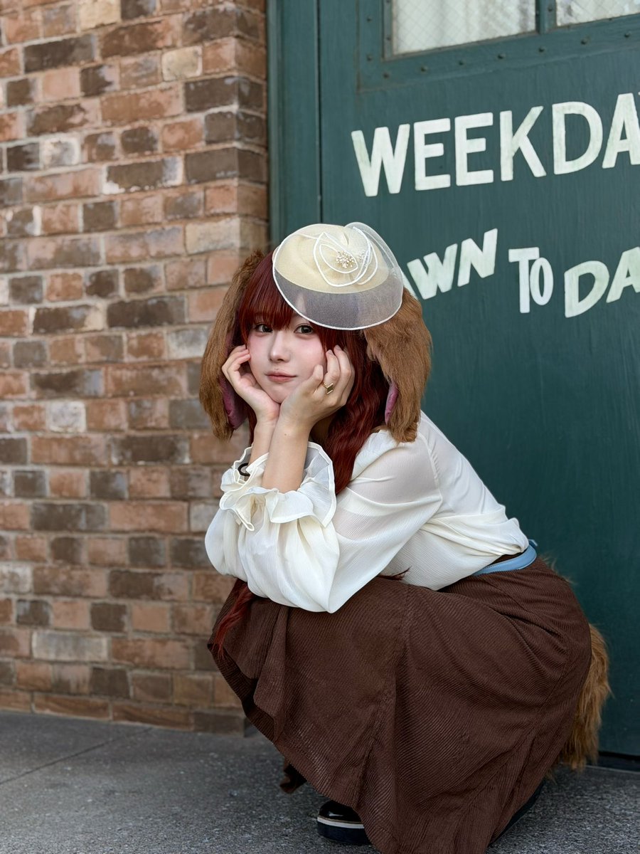 jia__cos's tweet photo. 本日は念願だったわんわん物語のレディでした✨
トランプにメロメロな1日•*¨*•.¸♬︎
#Dハロ仮装 
#Dハロ仮装2026 https://t.co/oWmT501P0o