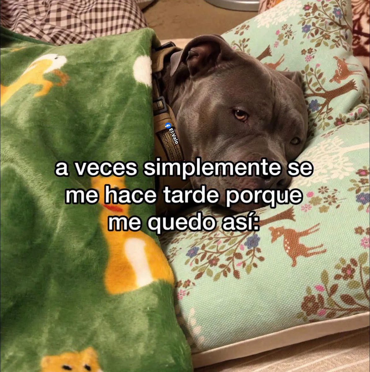 AlejandraN56289's tweet photo. https://t.co/AagkaMbr1T
