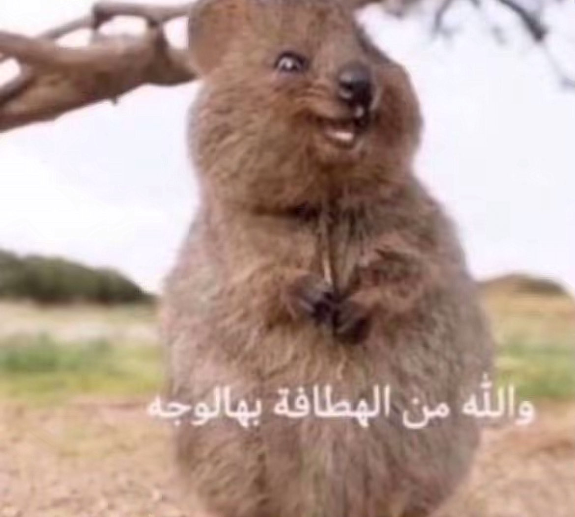 fa_12077's tweet photo. @ah12a0 متت ههههههههههههههههههههههههه https://t.co/k0bmttCkmb