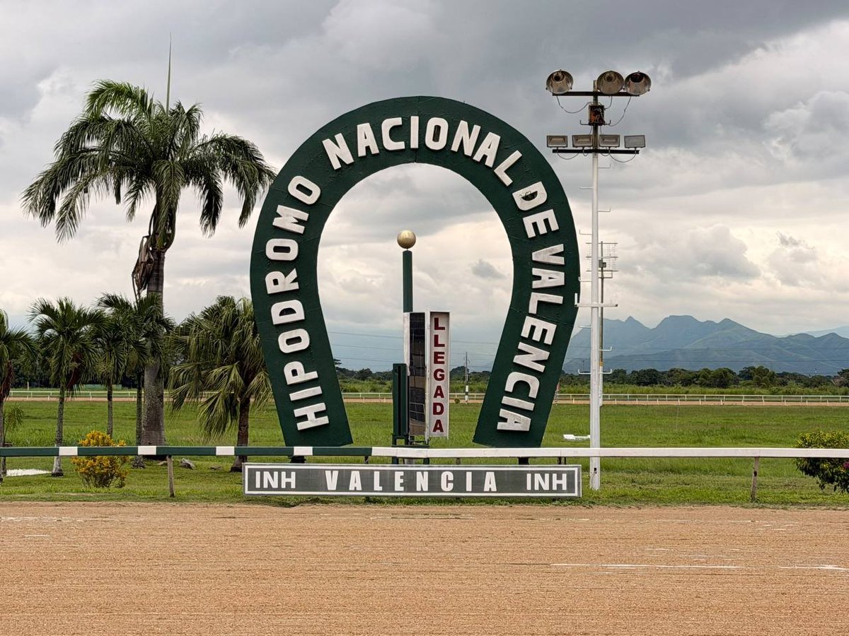 PabloJota27's tweet photo. ((( #SINDARVENTAJAS ))) Hoy Es Sábado De Ganar Y Vamos En Busca De La mayor Cantidad De Aciertos Y A Sellar El 5y6 En Busca De Buenos Dividendos #VAMOSPUES Que Hoy #LOQUEHAYVIDESVERGA "VENTE VIEJA" https://t.co/3hkRqQ8X5S