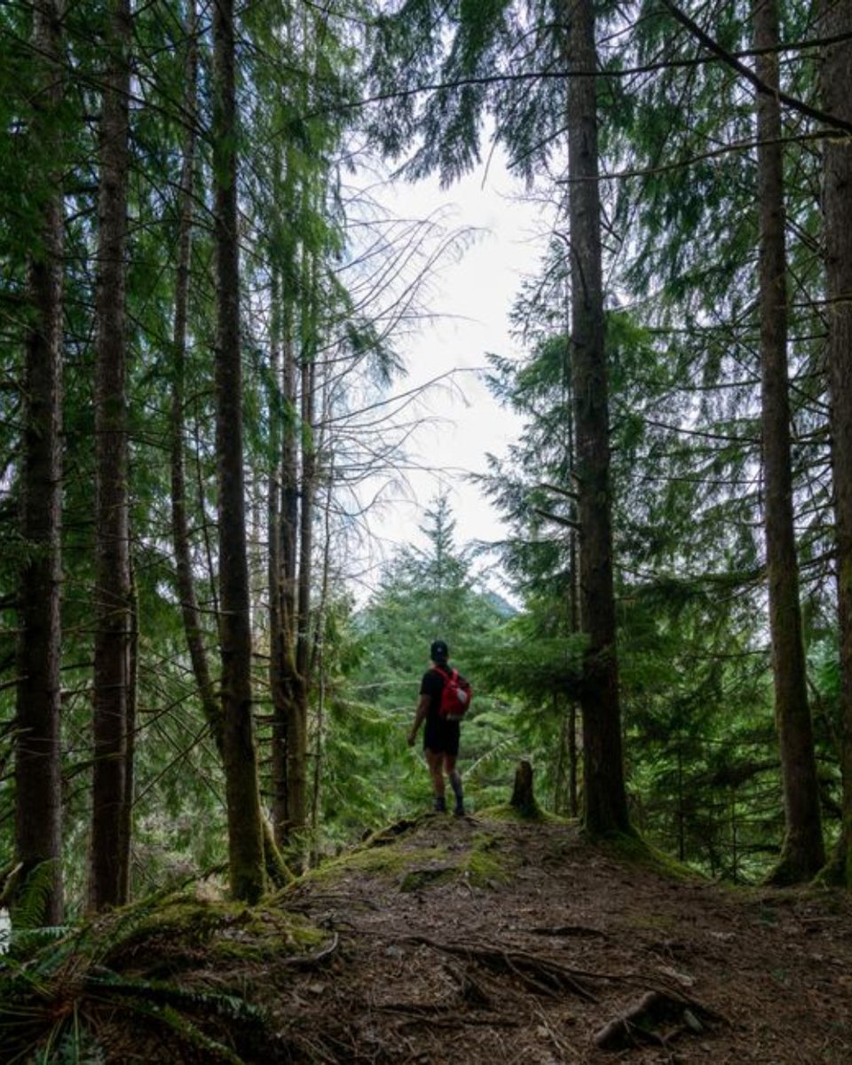 GoRVing's tweet photo. 🥾 Happy National Take a Hike Day! 🥾  
Today, celebrate by lacing up your boots and discovering a new trail. Share your favorite hiking spots below! ⬇️

#NationalTakeAHikeDay #GoRVing #GetOutside #RVAdventure https://t.co/y6aChytNlx