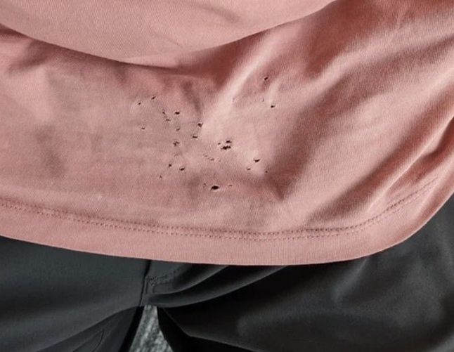 Arpatsa25745577's tweet photo. 兄貴のTシャツ、前だけ小さい穴だらけになってて
最初は虫食いかと思って普通に流してた

でも原因知ったら
自分の服も全部確認したくなった、、、

これ気づかないうちになるやつ？ https://t.co/TM7OOUosSi