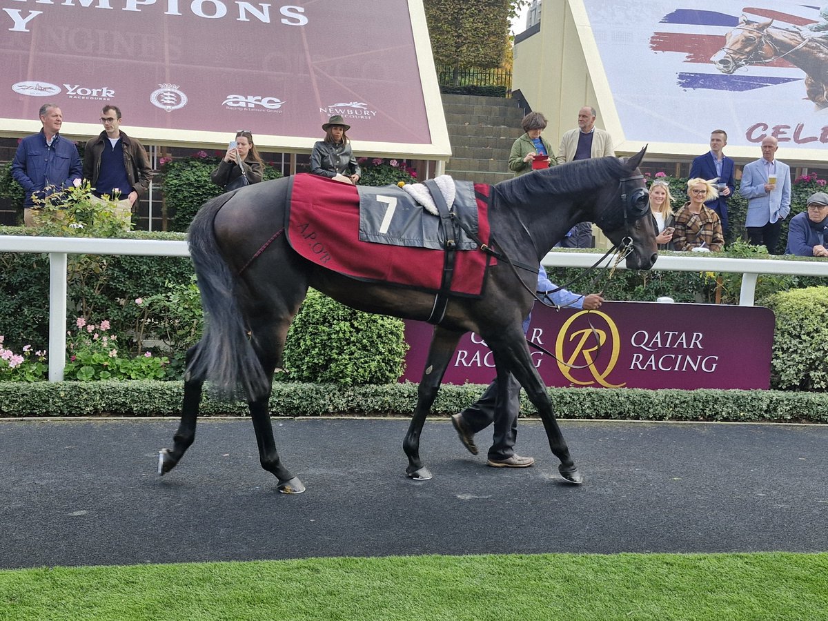 SportsNewsIRE's tweet photo. @aobrienfansite Gstaad (6) &amp; Hawk Mountain (7) contest Group 1 Queen Elizabeth II Stakes @Ascot https://t.co/JwtrkJNSEd