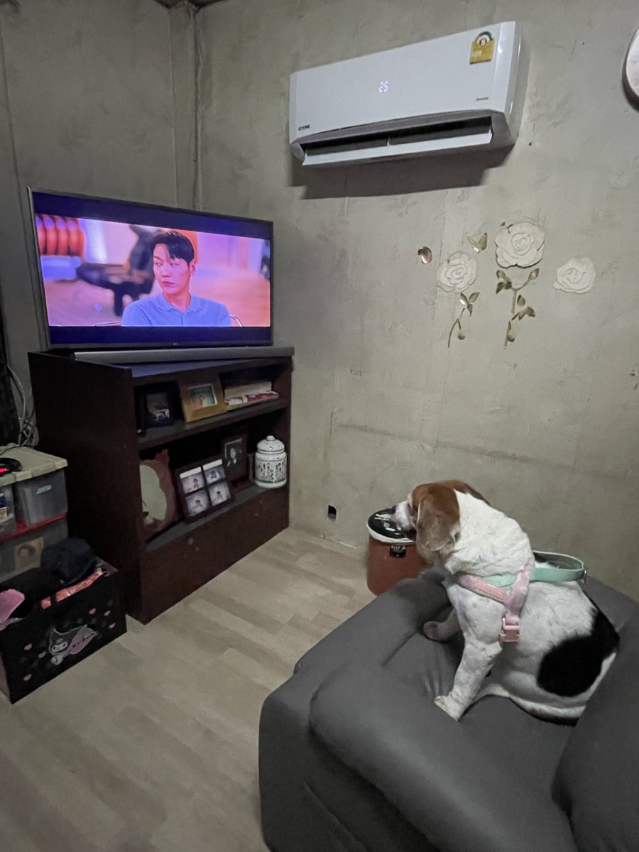 ApplePlusS's tweet photo. 🐶🤍🐯#KimYoungKwang
#ChargeMe #BaekHoRang https://t.co/hrMP4n4Dk1