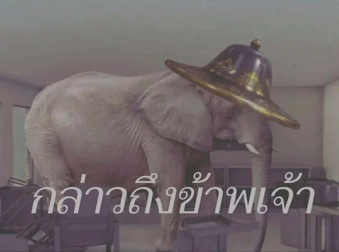 _belongnowhere's tweet photo. @soldum_sour @fxkdtz @ao_chaso https://t.co/OUIqBp5nPB