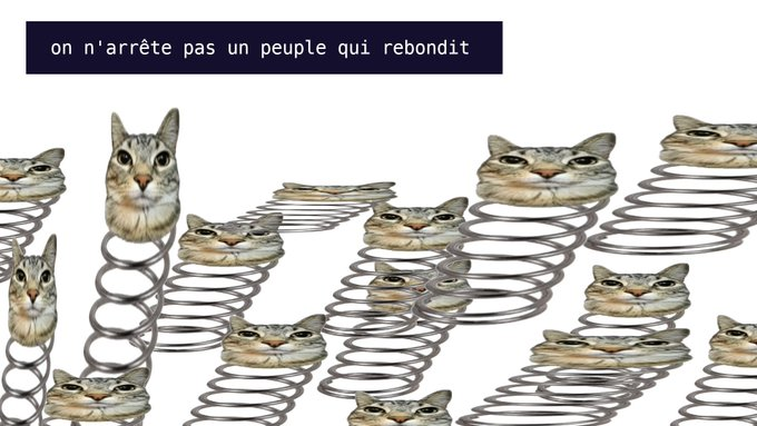 PetalSoI's tweet photo. THIS IS FUCKING GENNY,

They using "bounce cat" as a symbol of rebellion in France, hanging up this meme all over the streets of Paris and going viral on X

"You Cant Stop a People that Bounce Back" THIS IS SO GOOD!!

The meme is "chat rebond" in French, this is easily the best meme to come from the riots and its spreading like wildfire in France

OFFICIAL MEME OF THE REBELLION!
https://t.co/eqrZ2fpAyN