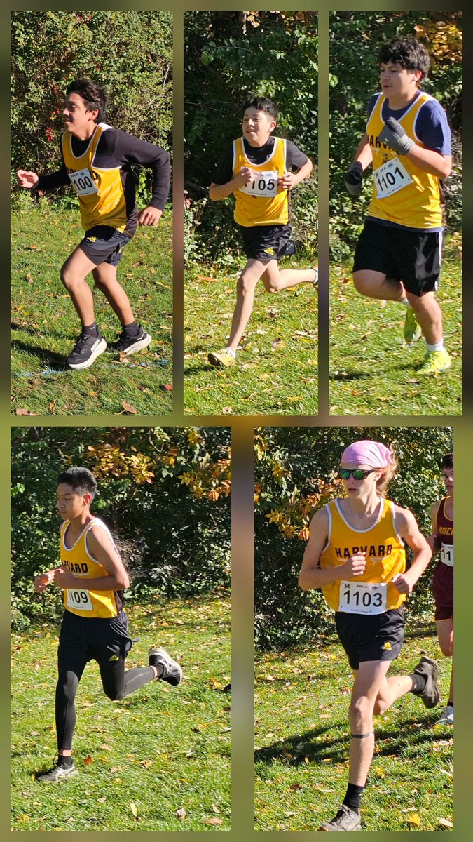 ArmandoValdesRi's tweet photo. Strong racing by our @HHSHornets1 XC team at the KRC Championships! Aiden Arias ran a 17:53 PR for 18th place, while Brenda Garcia ran a 21:06 PR, finishing 16th! 8 PRs overall! Proud of our Hornets and their continued progress! #HarvardRising @HarvardD50 https://t.co/25MSZth6kg