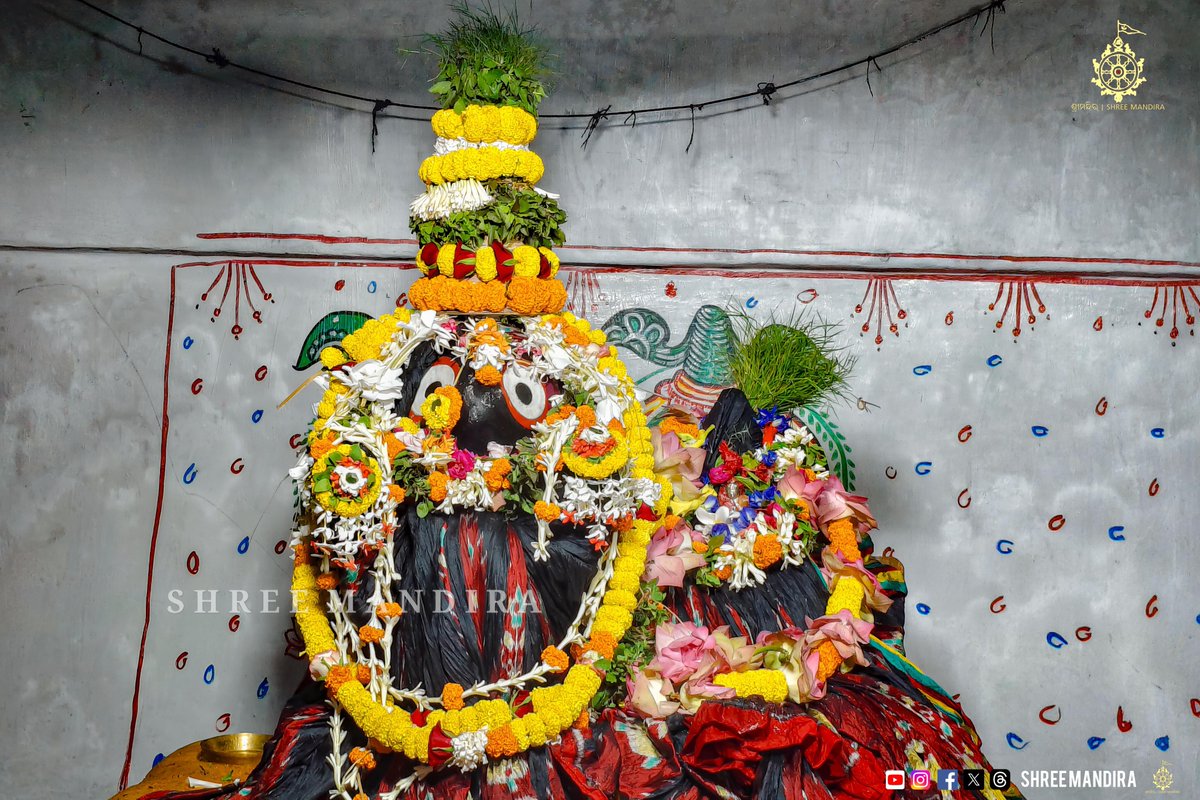 shree_mandira's tweet photo. ଶାକ୍ତ ଗୁଣ୍ଡିଚାର ସପ୍ତମ ଦିବସରେ ନାରାୟଣୀ ମନ୍ଦିରରୁ ଶ୍ରୀ ଦୁର୍ଗାମାଧବଙ୍କ ଦିବ୍ୟ ଦର୍ଶନ ।

On the 7th day of Shakta Gundicha, divine darshan of Shri DurgaMadhaba from Narayani Temple.

#DurgaMadhabaUpasana
#ShaktaGundicha
#GuptaGundicha
#DurgaPuja2026 https://t.co/sutR2b9Ng7