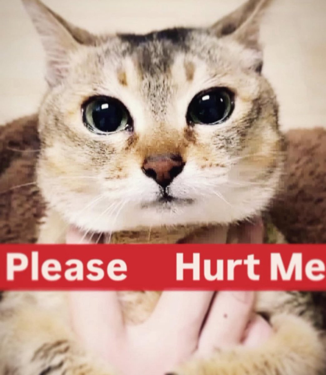 yuriluver420's tweet photo. Sometimes I fantasize about Medkit coming home drunk from a phight and beating me until I feel numb. She kicks me in the ribs until I can hardly breathe. Then she lets me suck on her fingers as she holds me all night while i cry into her blouse https://t.co/KXI8N3zwyC