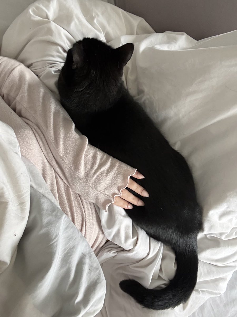 dollmacabre's tweet photo. Maybe it would have been better if I didn’t remember last night and had a terrible hangover so I can whine and be taken care of but of course, I still have my memories of embarrassing myself. Raven woke me up, sweet girl, so I can play but I made her stay and cuddle. https://t.co/igtLhPYWjt