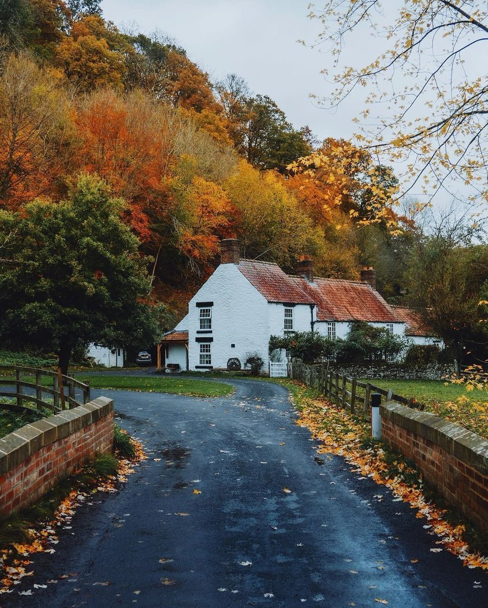 visitnorthyork's tweet photo. A sublime location and great day out with a decent tea room.

Walk alongside the ruins and you will feel a tingle up your spine and you can almost feel the frenzied activity of years gone by.

~ Visitor Review https://t.co/uVVfnqn8iP