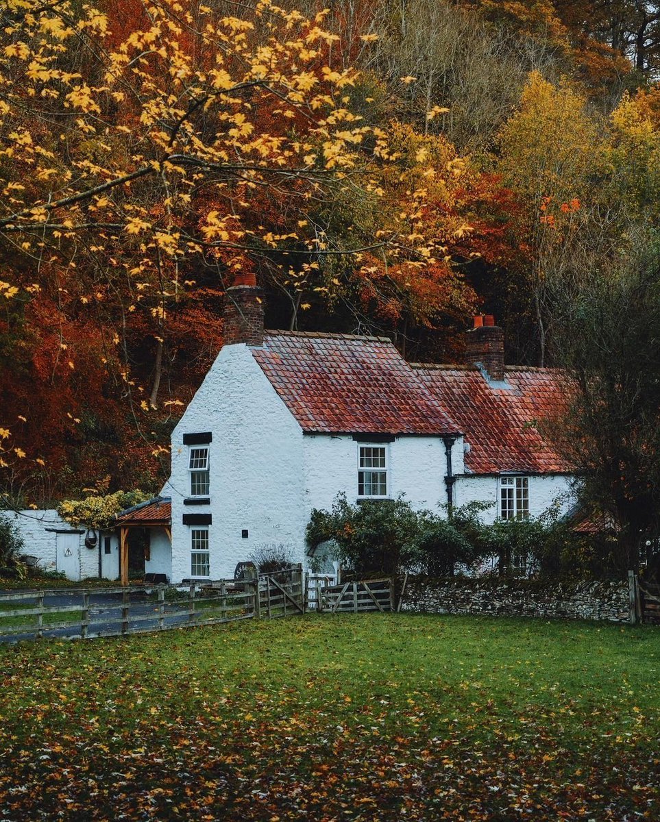 visitnorthyork's tweet photo. A sublime location and great day out with a decent tea room.

Walk alongside the ruins and you will feel a tingle up your spine and you can almost feel the frenzied activity of years gone by.

~ Visitor Review https://t.co/uVVfnqn8iP