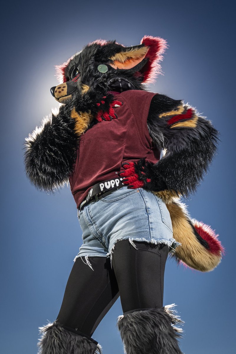 dire_walf's tweet photo. I’m open for a few lite photoshoots for MFF 2026! These are on a limited basis starting at $300 for 5 photos with the option to purchase more.

Same day delivery available for $100 add on

⚠️: includes flashing lights 

#mff2026 #mff #furfest #furfest2026 #midwestfurfest https://t.co/qG9FrAKRQn
