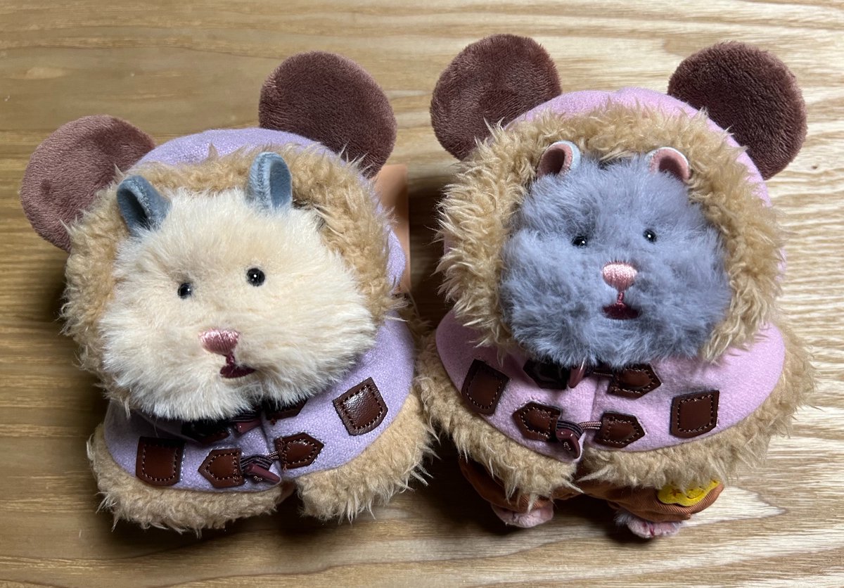 LV__8's tweet photo. ディズニーストアのシークレットポンチョ、はむにぎりにはちょっとフードが大きいけど、ちょっと被り方を工夫すれば着れました🤭可愛い💕 https://t.co/XiXkJjpKA9