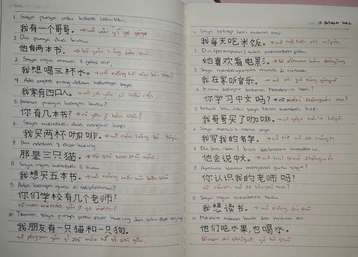 cloverish98's tweet photo. 🇨🇳 day 36 learning mandarin

practiced writing hanzi and translating 20 sentences ✍🏻✨

#学中文 #hsk1 #studytwt #langtwt #mandarin https://t.co/ZqcnVxu8G7
