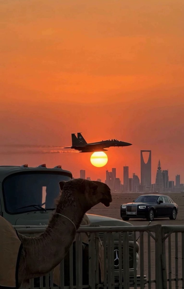 mt_2l's tweet photo. أمة الناقة والجمل والخيمة 
« والله ما مثـلك بهالـدنيا بلد »🐪🇸🇦💚 https://t.co/JVkdSERNvQ