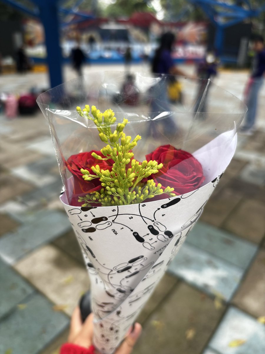 HarryMexOficial's tweet photo. Ya llegaron las rosas a CDMX, corre por la tuya! 🥹❤️

📍Parque Alfonso Esparza  https://t.co/qHpBOG2scJ
©️rubiusperry https://t.co/1eRcZNBWgv