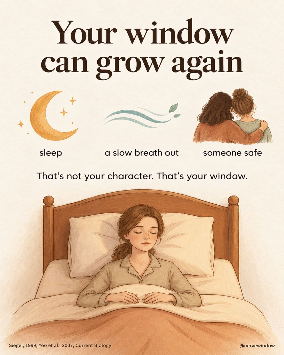 NerveWindow's tweet photo. One bad night makes your window smaller, so the same small thing feels like too much. Sleep, a slow breath out and someone safe make it bigger again. Save this for the next day one small thing feels like too much. https://t.co/KLnaDQBjrG