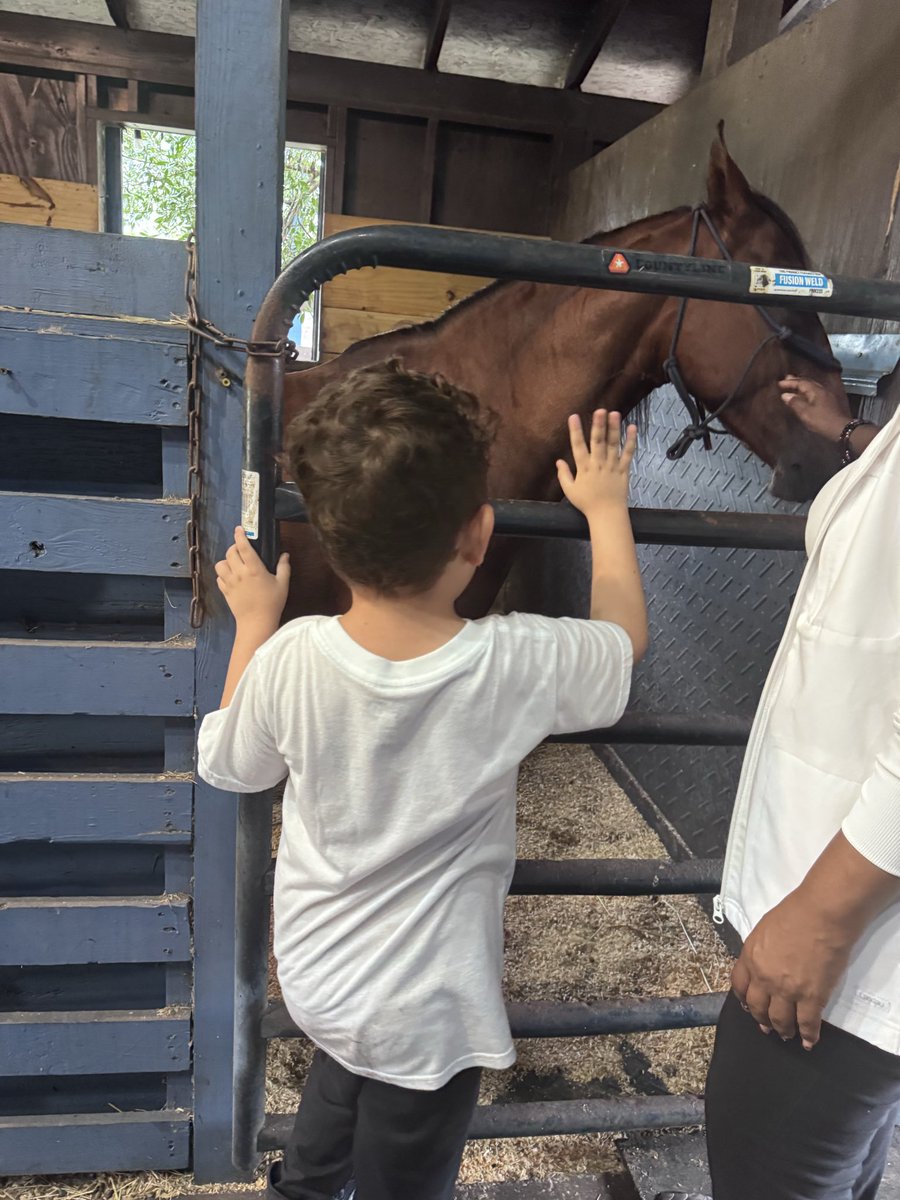 jen21jenn's tweet photo. Equine therapy :3 https://t.co/YNOPreGSnf